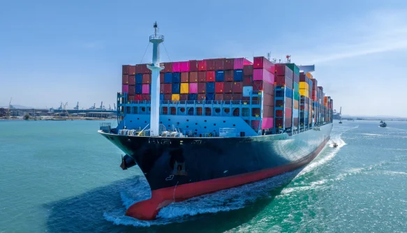 Mega Carga, Servicio Carga Maritima